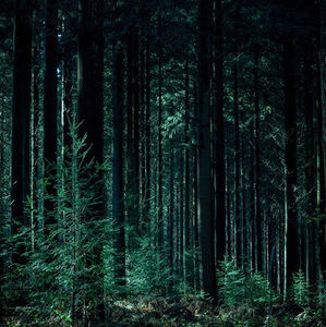 Meet your Posher, Jaxon